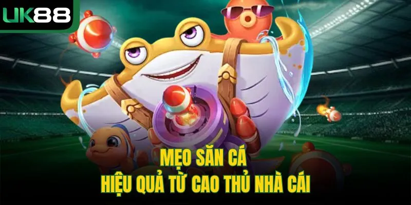 Mẹo săn cá hiệu quả từ cao thủ nhà cái